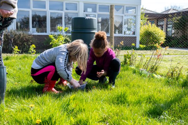 EXPLORING AND LEARNING FROM NATURE